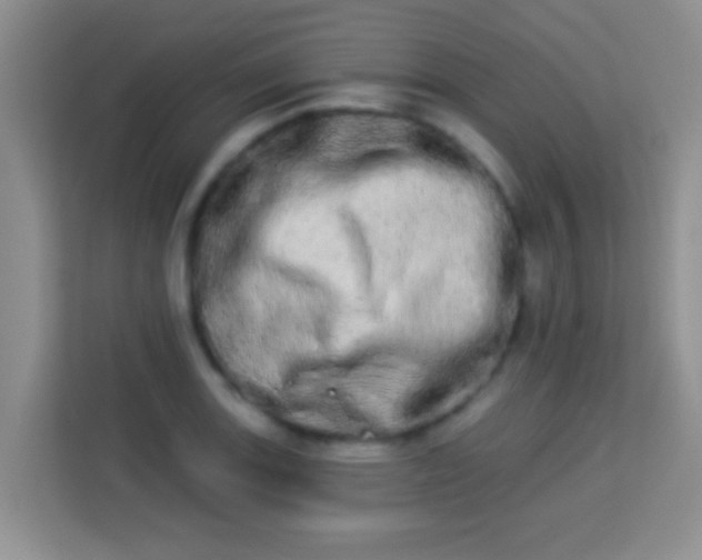 X0000113981131200910091312