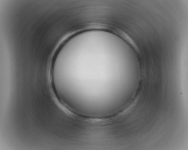 X0000113981132200910091312