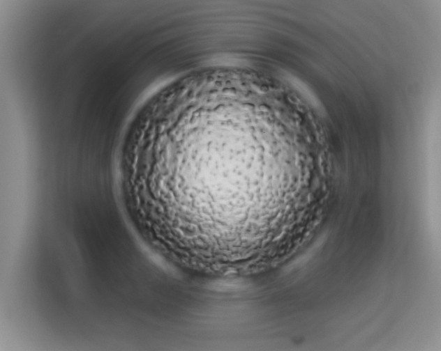 X0000113981133200910091312