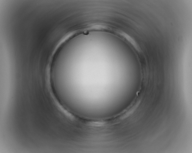 X0000113981134200910091312