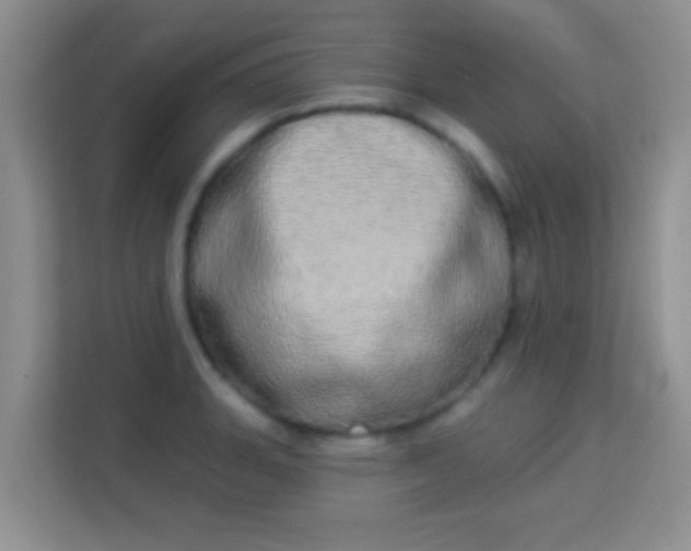 X0000113981135200910091312