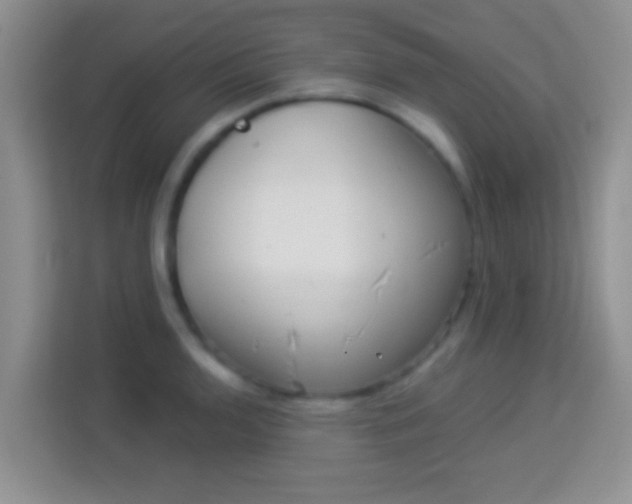 X0000113981136200910091312