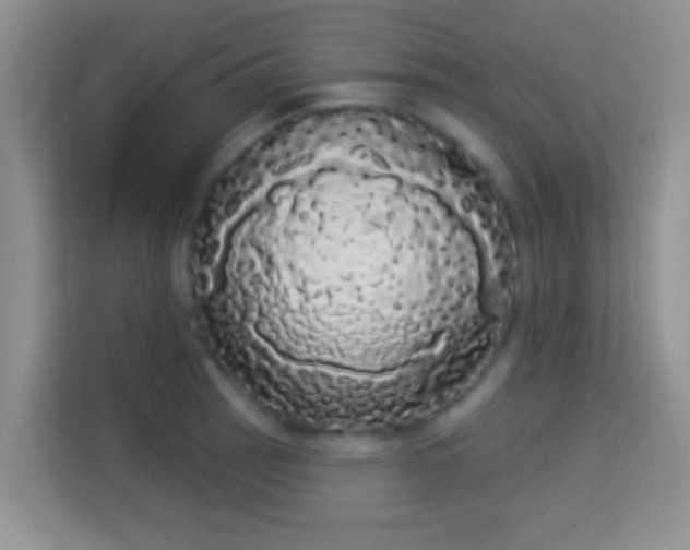 X0000113981137200910091313