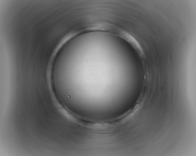 X0000113981138200910091313