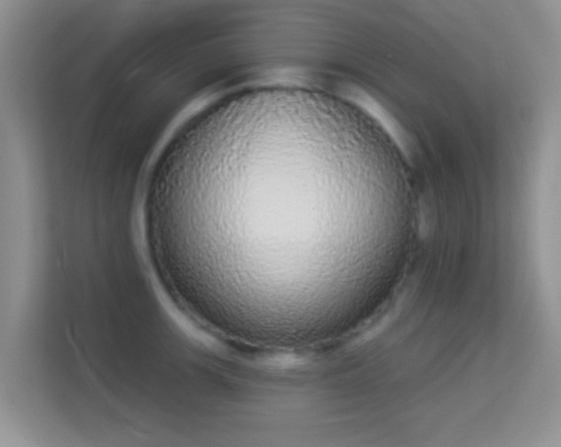 X0000113981139200910091313