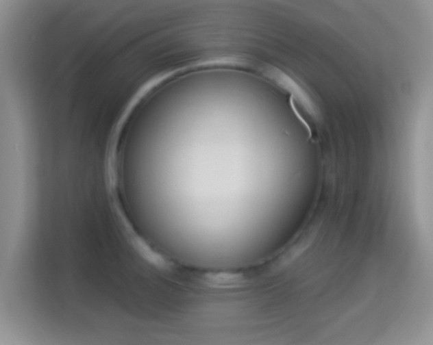 X0000113981140200910091313