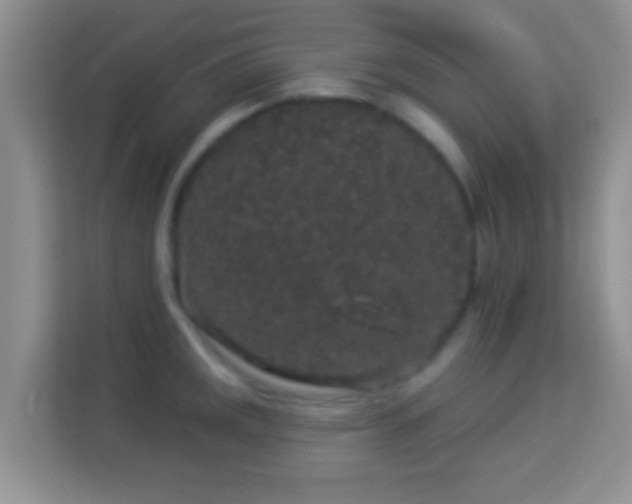 X0000113981141200910091313