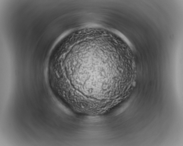 X0000113981142200910091313