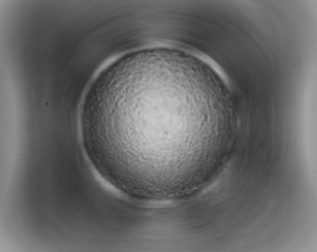 X0000113981143200910091313