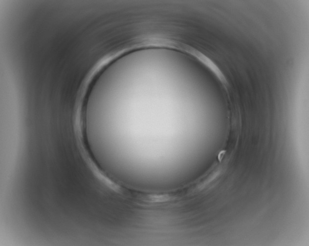 X0000113981144200910091313