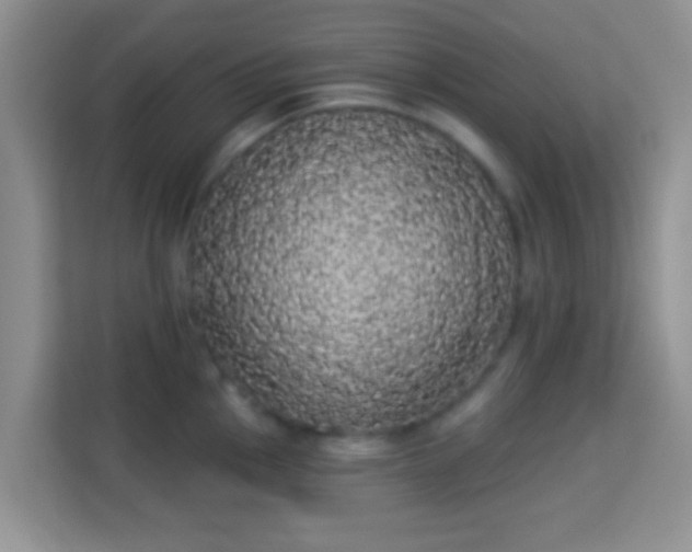 X0000113981145200910091313