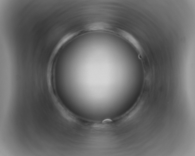 X0000113981146200910091313