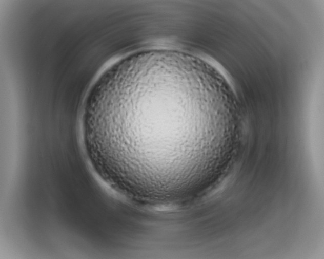 X0000113981147200910091313