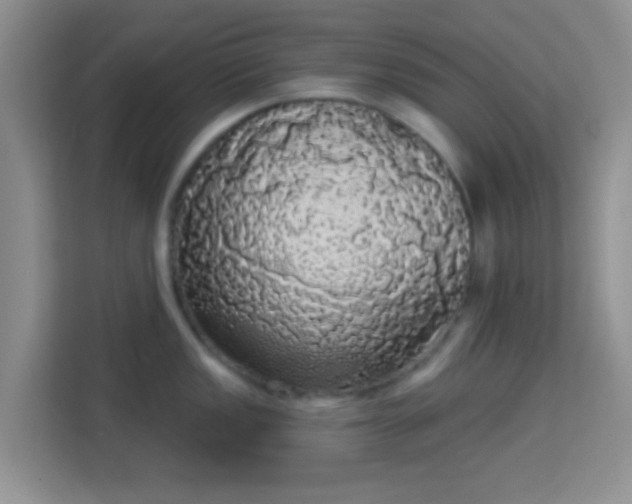 X0000113981149200910091313