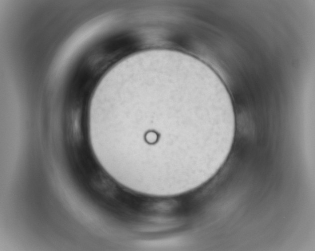 X0000113981150200910091313