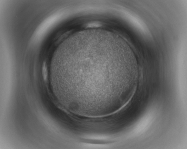 X0000113981151200910091313