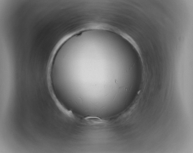 X0000113981152200910091313