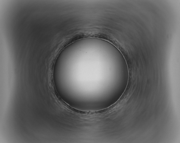 X0000113981153200910091312