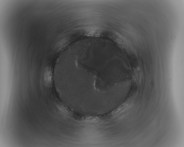 X0000113981154200910091312