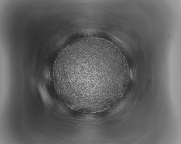 X0000113981155200910091312