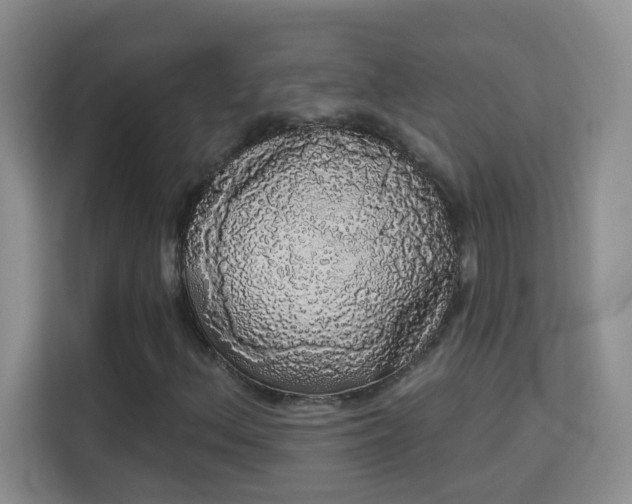 X0000113981156200910091312