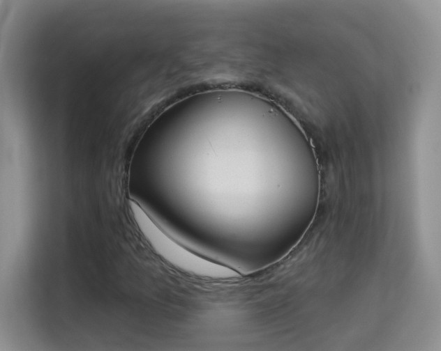 X0000113981157200910091312