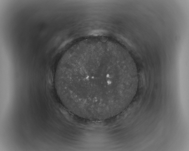 X0000113981158200910091312