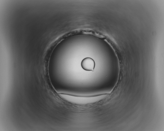 X0000113981159200910091312