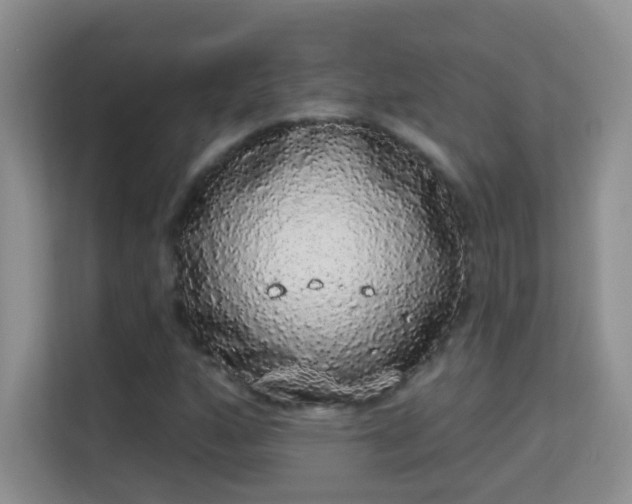 X0000113981160200910091312