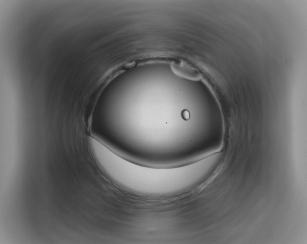 X0000113981161200910091312