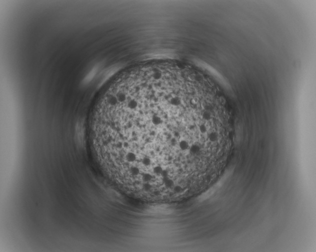 X0000113981162200910091312