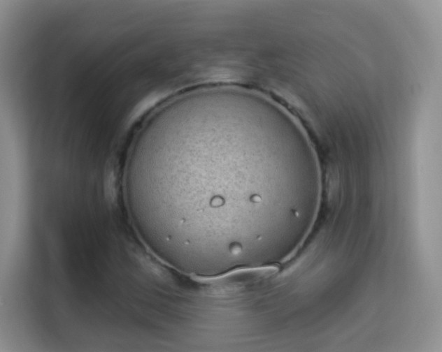 X0000113981163200910091312