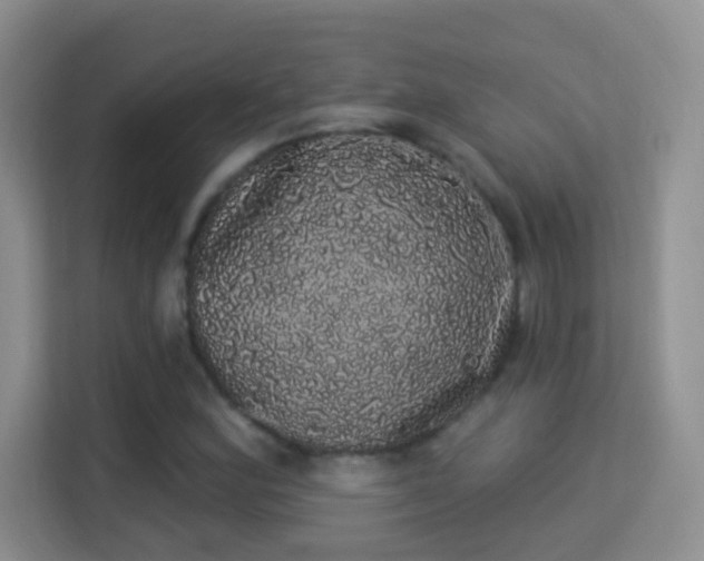 X0000113981164200910091312