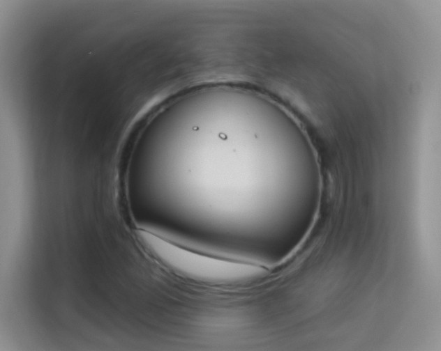 X0000113981165200910091312