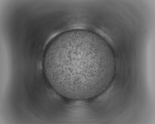 X0000113981166200910091312