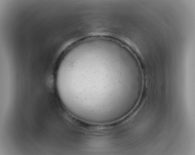 X0000113981167200910091312