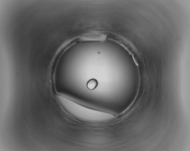 X0000113981168200910091312