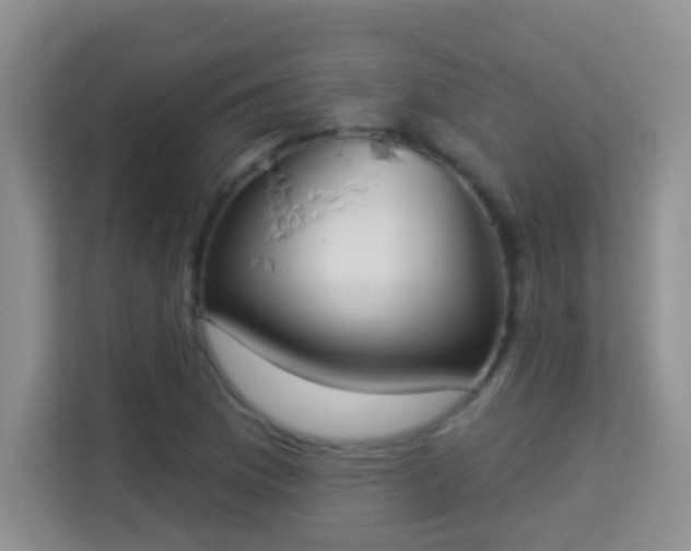 X0000113981169200910091312