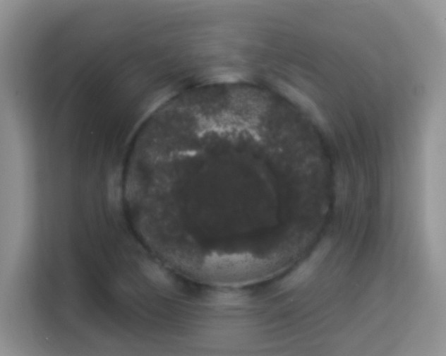 X0000113981170200910091312