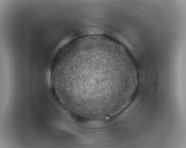 X0000113981171200910091312