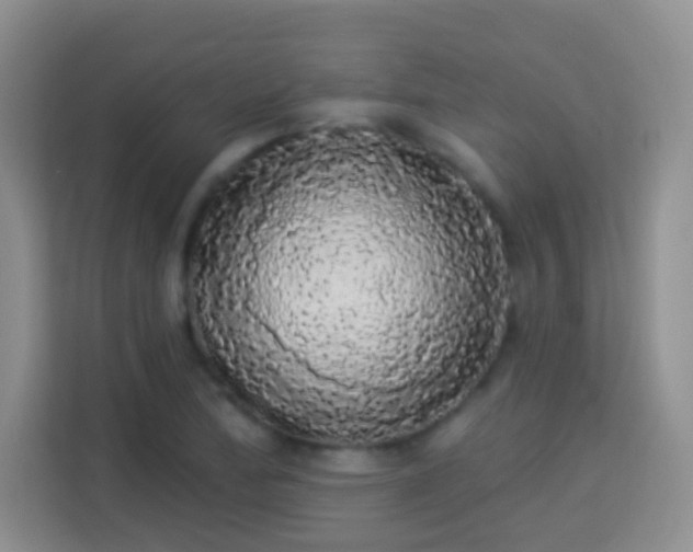 X0000113981172200910091312