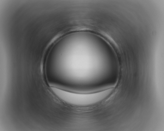 X0000113981173200910091312