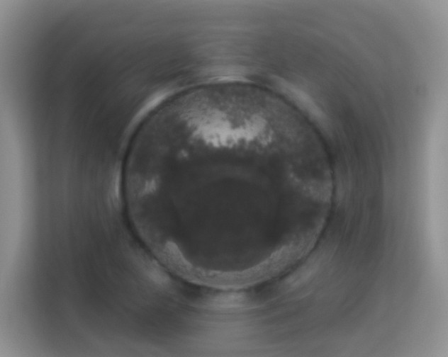 X0000113981174200910091312