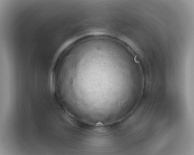 X0000113981175200910091312