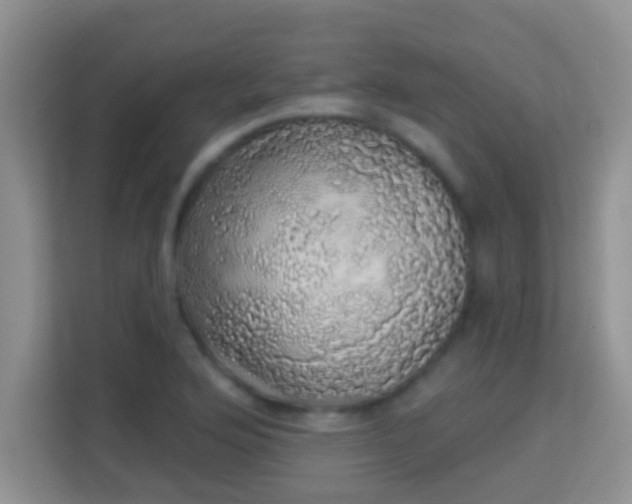 X0000113981176200910091312