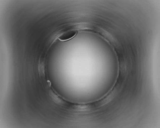 X0000113981177200910091312