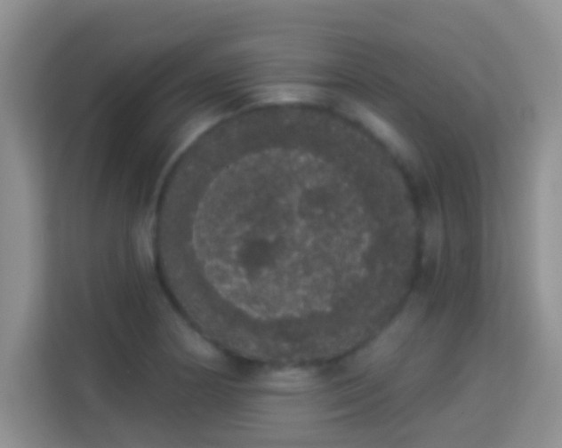 X0000113981178200910091312