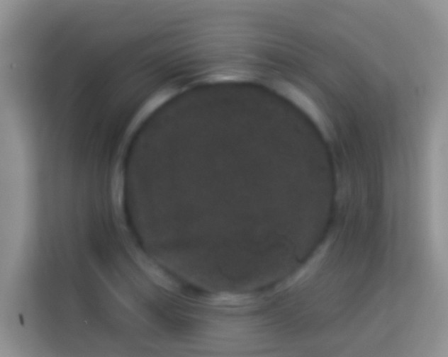 X0000113981179200910091312