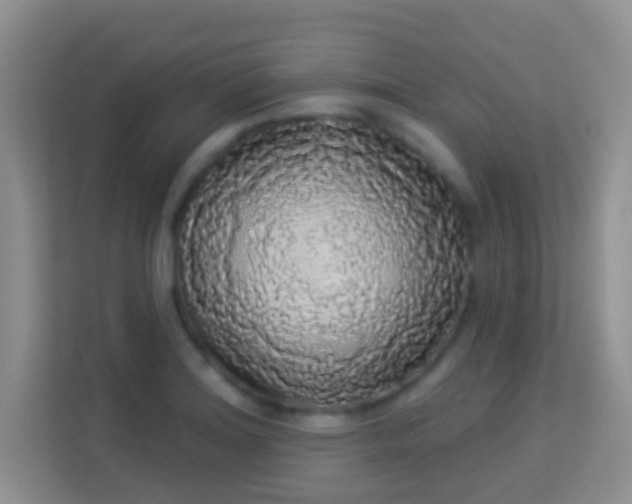 X0000113981180200910091312