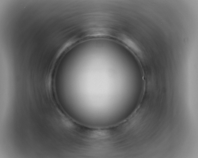 X0000113981181200910091312